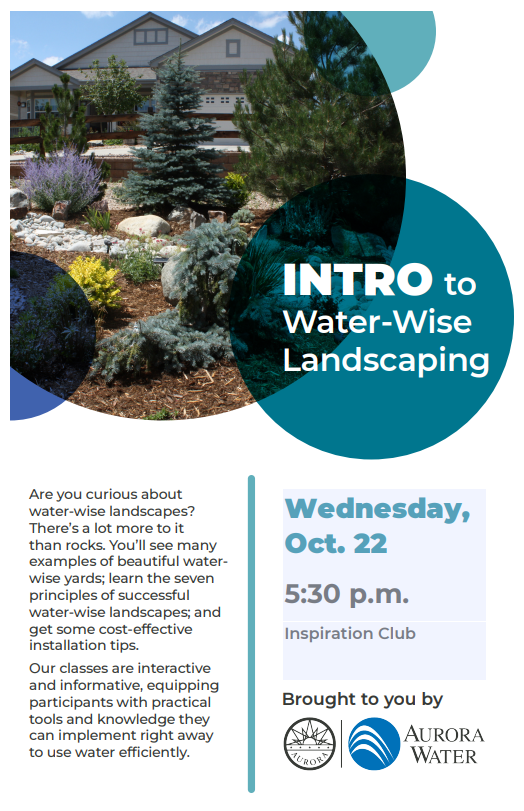 Water wise promo flyer
