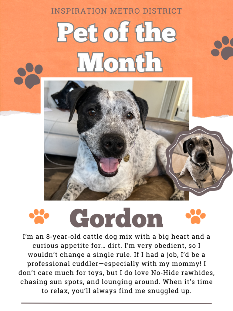 Pet of the month October