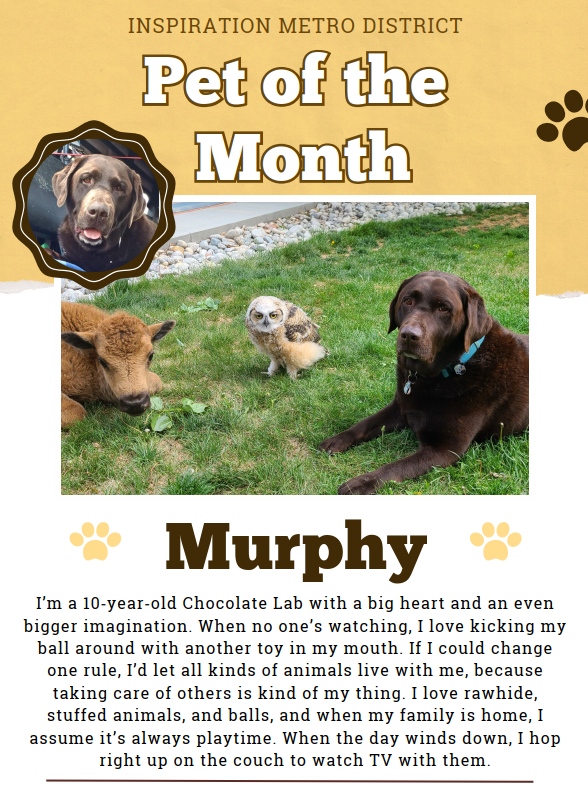 Pet of the month June