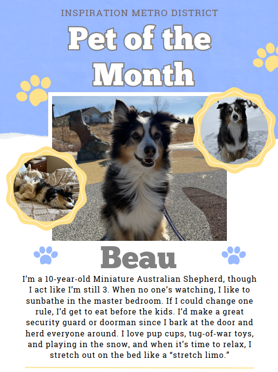 Pet of the month September